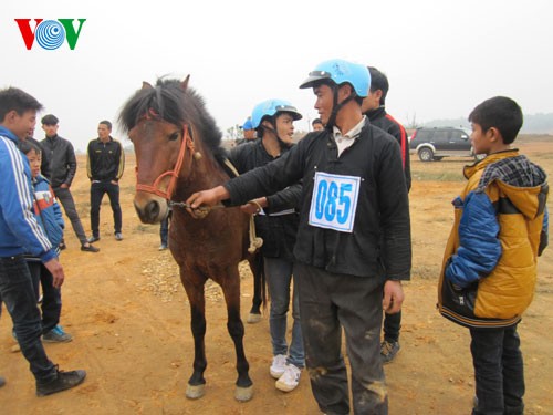 Giải đua ngựa tại Làng Văn hóa – Du lịch các dân tộc Việt Nam - ảnh 1